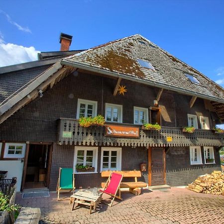 Wohlfuehl-Ferienwohnung 80 Qm, 8 Personen, Aussicht & Heimkino Todtnau Luaran gambar