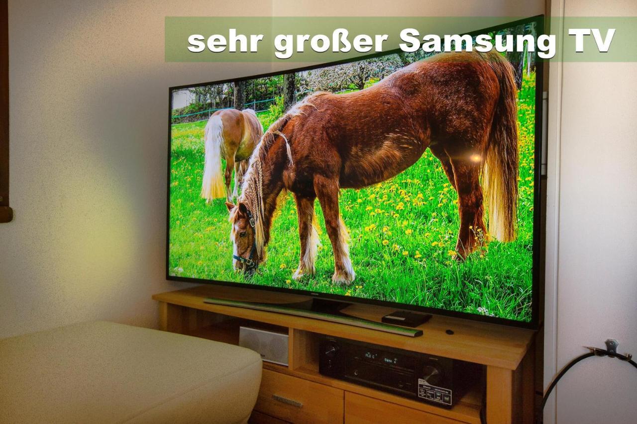 Wohlfuehl-Ferienwohnung 80 Qm, 8 Personen, Aussicht & Heimkino Todtnau Luaran gambar
