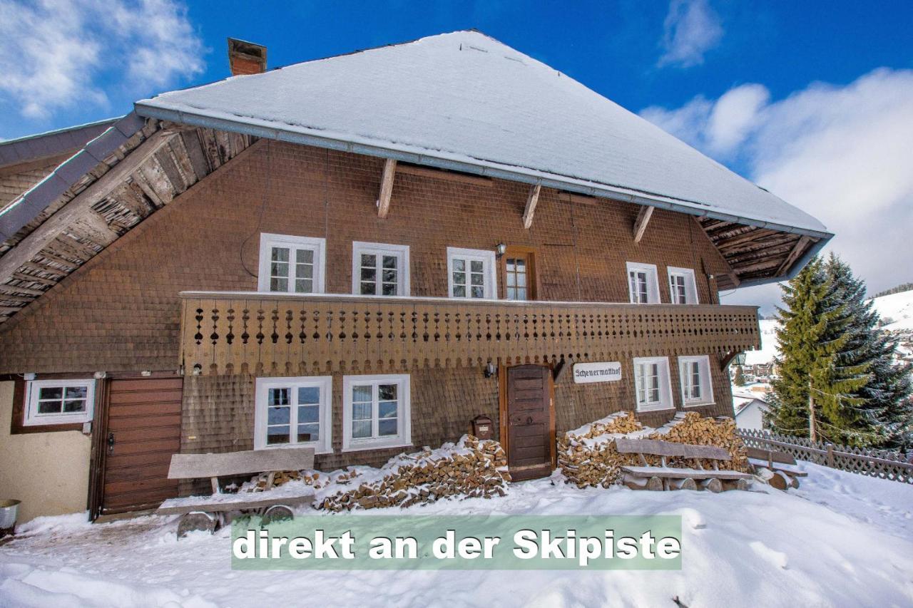 Wohlfuehl-Ferienwohnung 80 Qm, 8 Personen, Aussicht & Heimkino Todtnau Luaran gambar